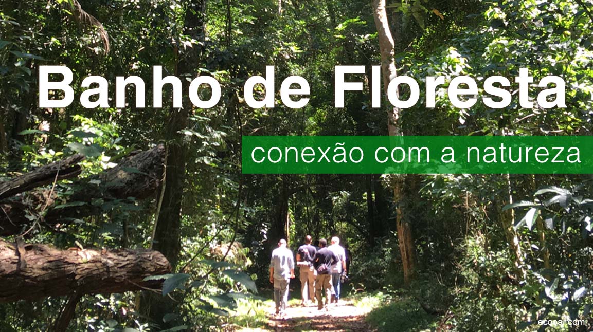 5 ideias de títulos:
1. Banho de Floresta: Guia Completo para Iniciantes
2. Os 7 Benefícios Comprovados do Shinrin-Yoku para sua Saúde
3. Como Integrar o Banho de Floresta na sua Rotina de Bem-Estar
4. Encontre o Local Perfeito para seu Banho de Floresta: Dicas e Recomendações
5. Shinrin-Yoku: A Ciência por Trás da Cura pela Natureza