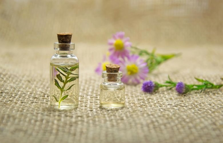 Guia completo de óleos vegetais para cosméticos caseiros