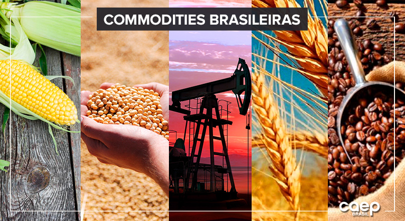 1. O Papel da Logística na Exportação de Commodities Brasileiras
2. Como os Contratos Futuros Protegem Produtores de Commodities
3. Desafios e Oportunidades na Tributação de Exportações Brasileiras
4. A Importância de Agregar Valor às Commodities Exportadas pelo Brasil
5. As Principais Commodities que Impulsionam a Economia Brasileira