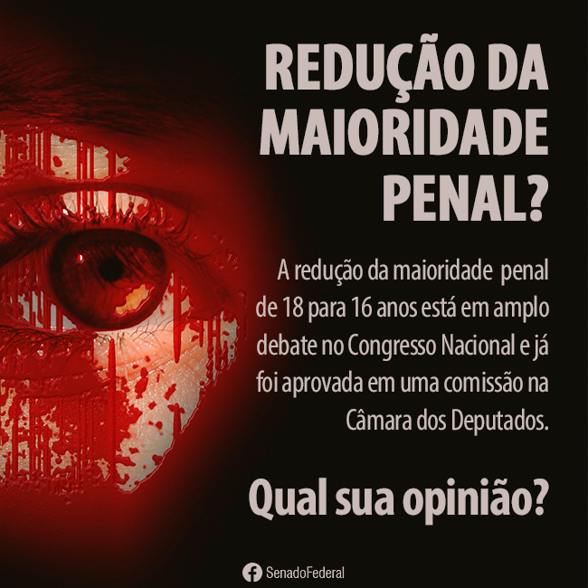 Maioridade Penal no Brasil: Entenda a Legislação Atual e Suas Implicações; ECA: Como o Estatuto da Criança e do Adolescente Protege e Responsabiliza Jovens; Medidas Socioeducativas: O Que São e Como Funcionam para Adolescentes Infratores; Redução da Maioridade Penal: Prós e Contras de um Debate Nacional; Criança