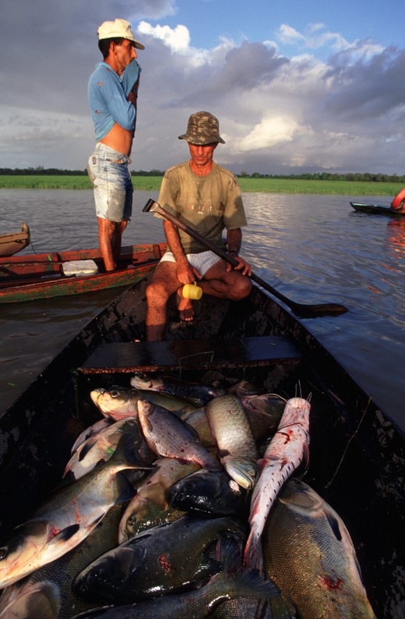 As Melhores Técnicas de Pesca Artesanal no Brasil e Suas Variações Regionais