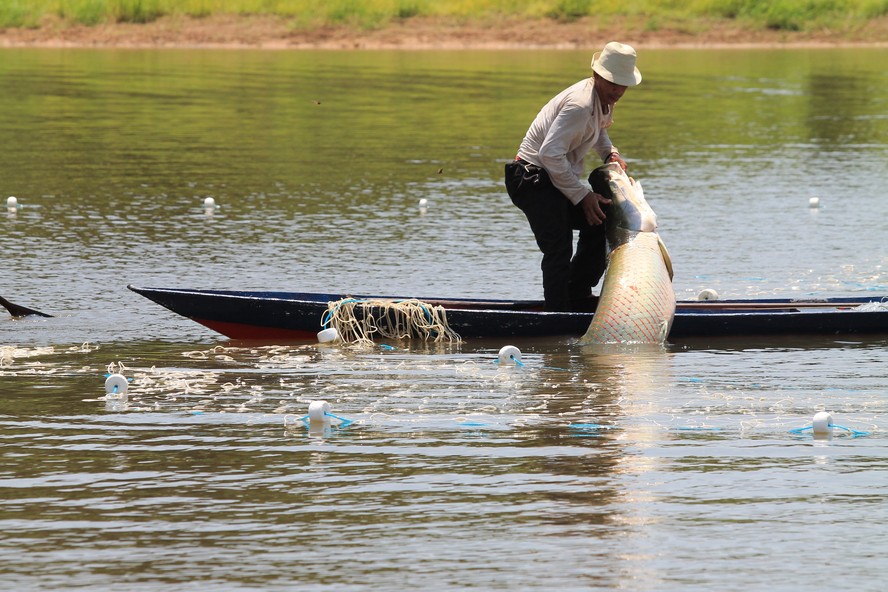Guia Completo do RGP: Como Obter seu Registro de Pescador Artesanal