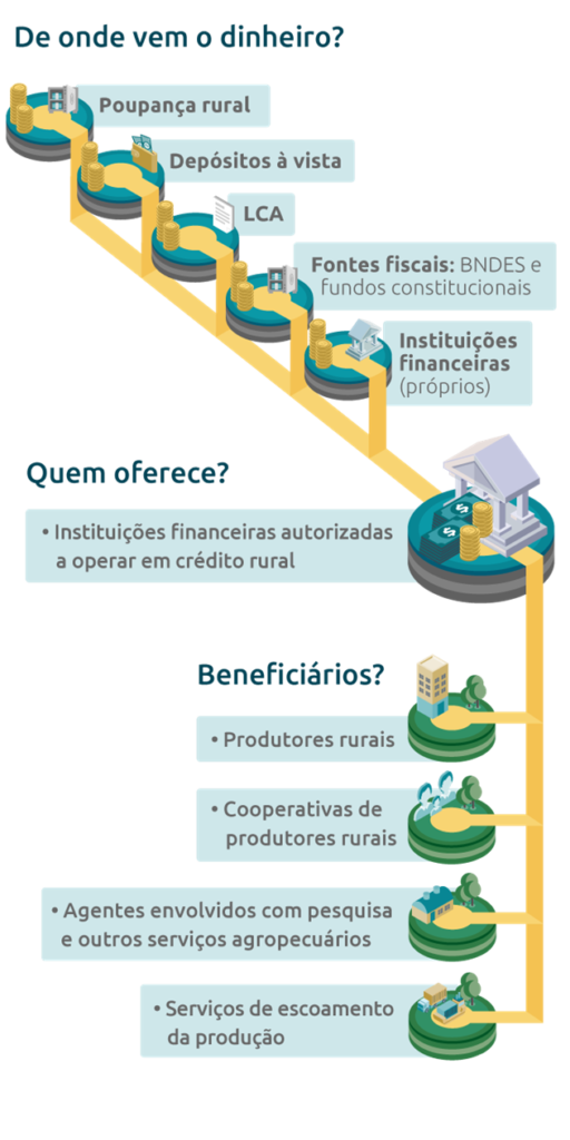 como funciona o financiamento de ongs pelo governo