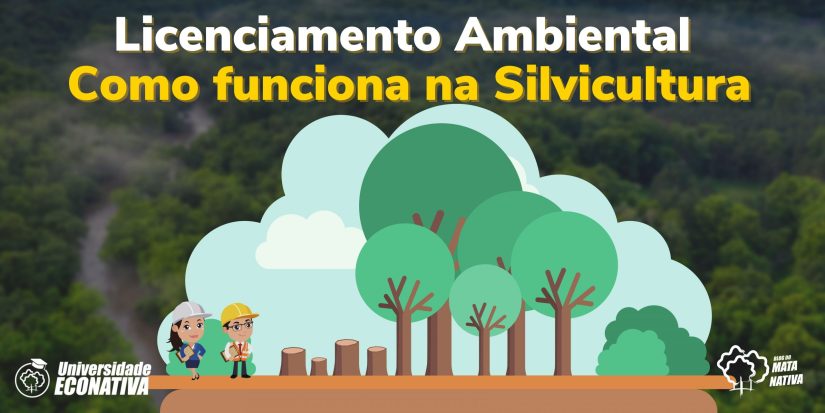 como funciona o licenciamento ambiental