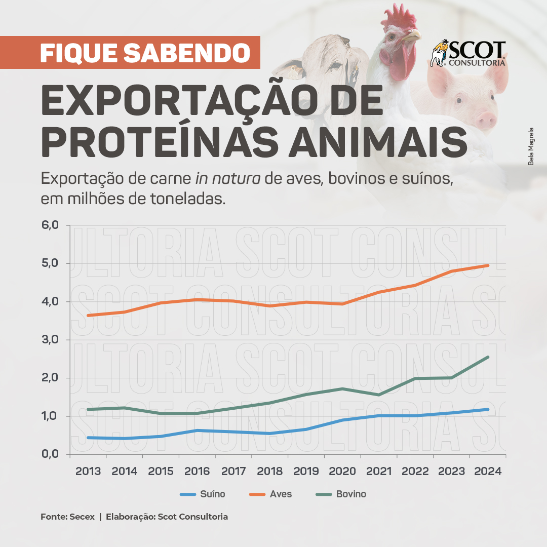 O impacto do ciclo pecuário no preço da arroba e lucro da Minerva