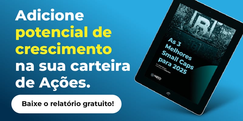 como investir em fundos de ações small caps