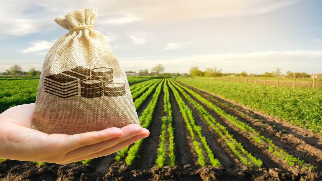 Como Analisar o Risco de Crédito em FIAGROs FIDC