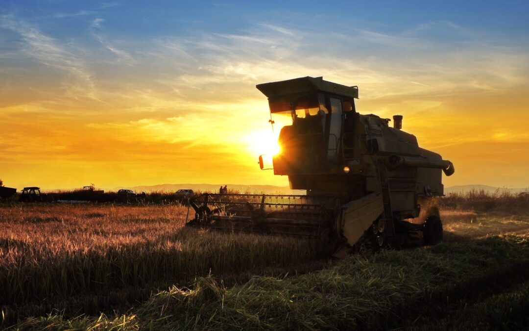 Guia Completo: Como Escolher a Melhor Corretora para Investir em FIAGROs