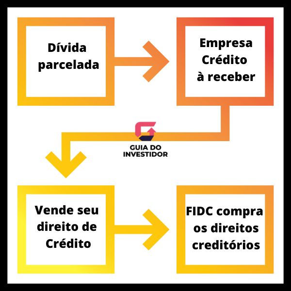 O que são cotas sênior