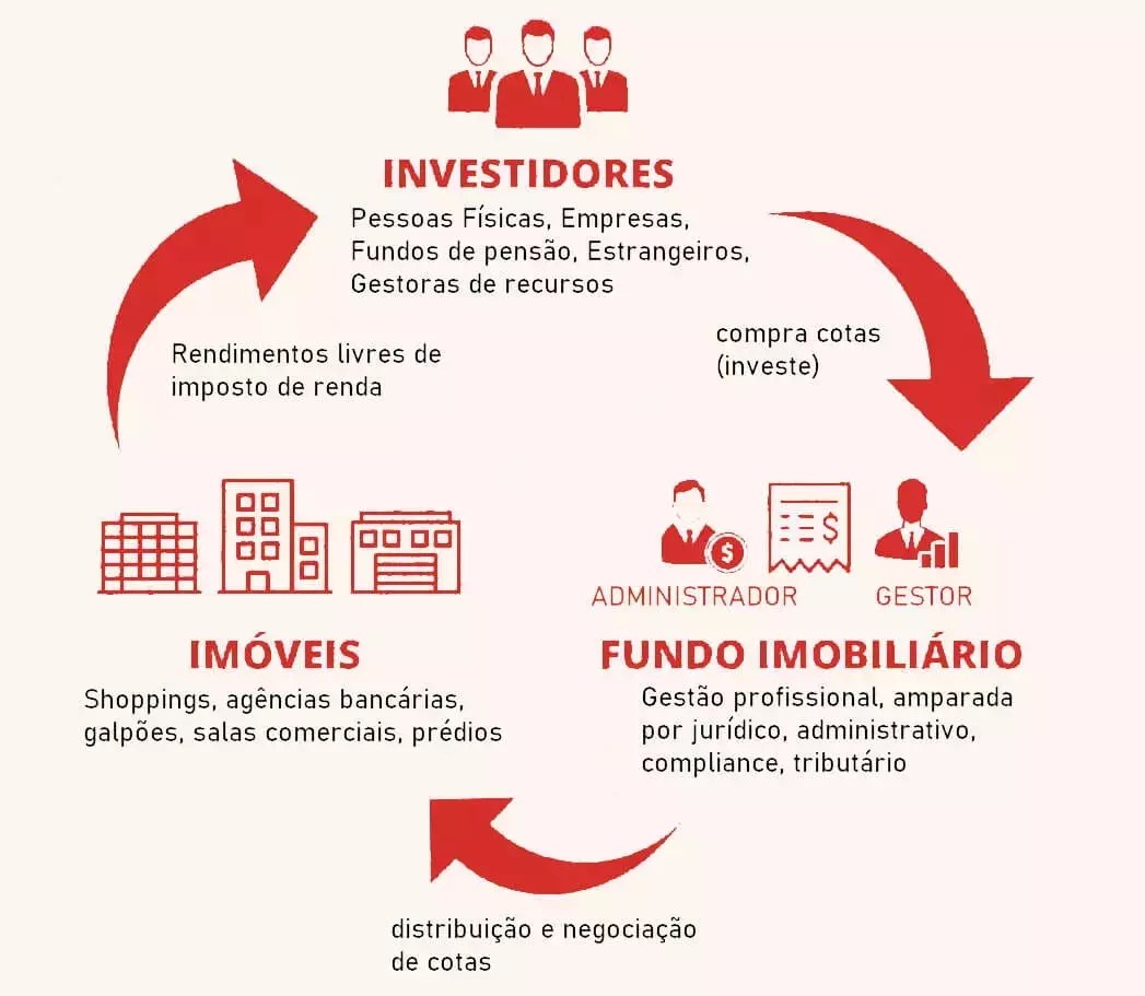 Relatórios Gerenciais de FIIs: O Que Você Precisa Saber