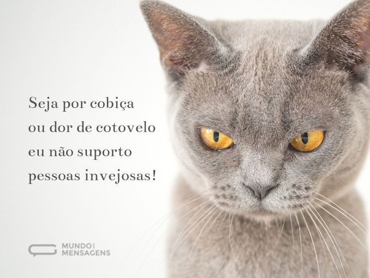 5 ideias de títulos:
1. Inveja no Trabalho: Estratégias para Proteger Sua Carreira
2. Como Lidar com Colegas Invejosos Sem Perder a Calma
3. Inteligência Emocional: Sua Melhor Ferramenta Contra a Inveja Profissional
4. Blindagem Mental: Proteja-se da Inveja e Mantenha o Foco
5. Limites Saudáveis no Trabalho: Evitando Conflitos por Inveja
