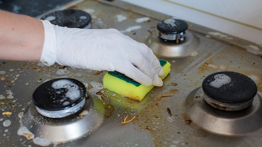 Alternativas naturais para limpar eletrodomésticos