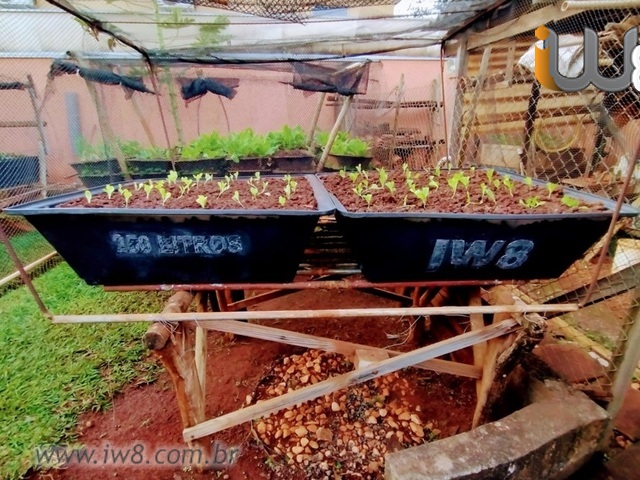 como montar horta em caixotes de plástico