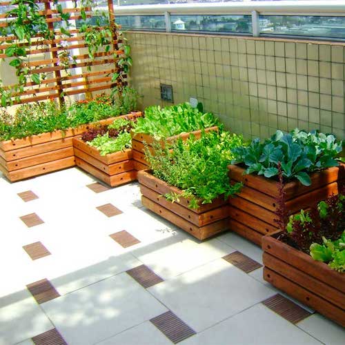 como montar horta em caixotes de plástico