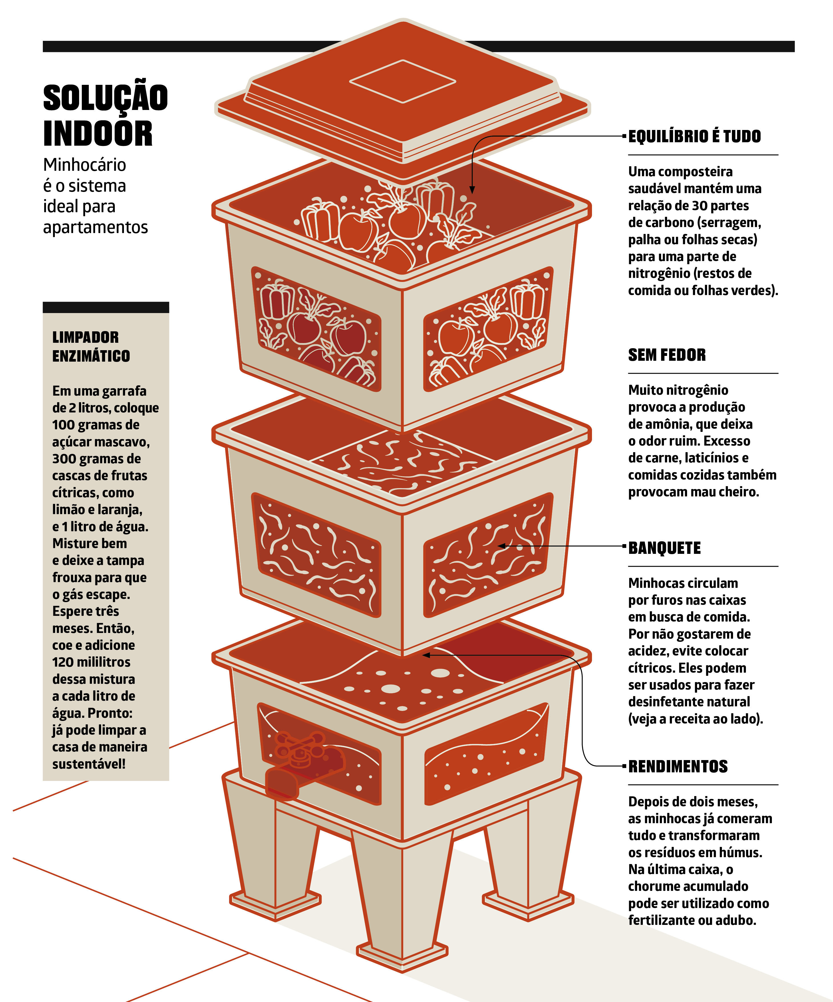 Como Resolver Problemas Comuns no Minhocário