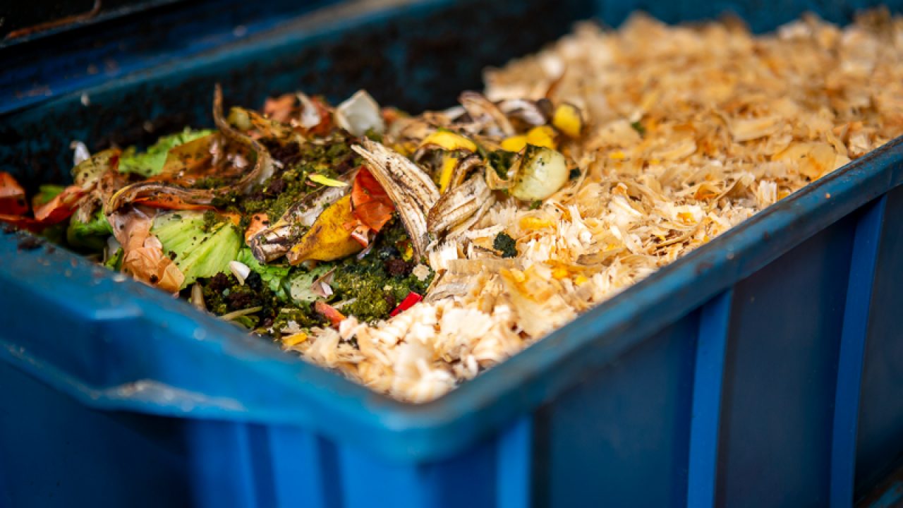 Como Resolver Problemas Comuns no Minhocário