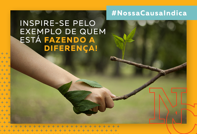 PPCDAm: O Plano de Ação para Salvar a Amazônia