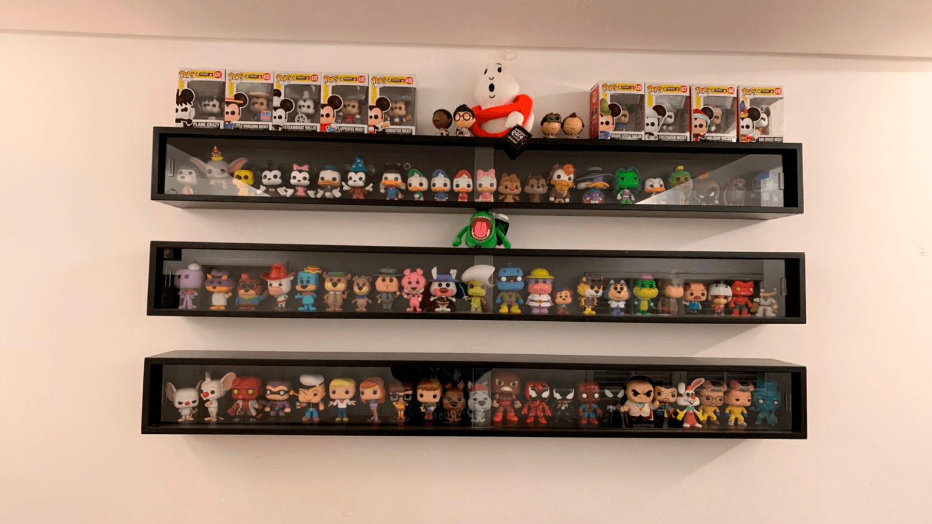 como organizar coleções na estante