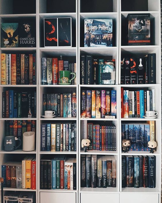 5 ideias de títulos:
1. Organize sua Estante: Do Caos à Obra de Arte
2. O Guia Definitivo para Categorizar e Exibir seus Livros
3. Estante dos Sonhos: Dicas Práticas de Organização e Decoração
4. Livros em Ordem: Métodos Eficazes para Conservar e Apresentar sua Coleção
5. Transforme sua Estante: Estratégias de Organização para Todos os Estilos