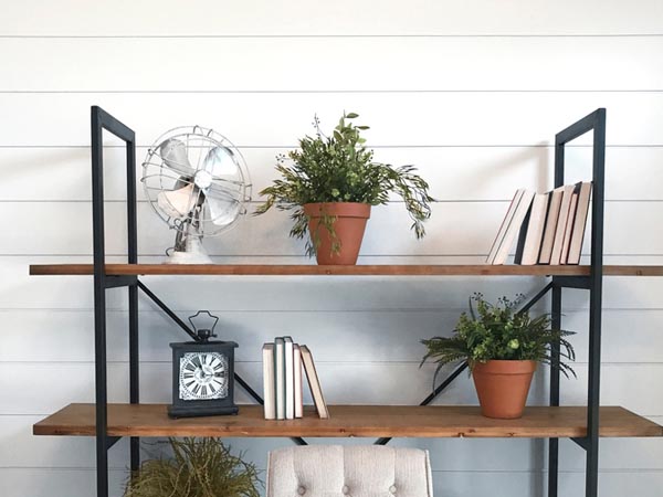 como organizar coleções na estante