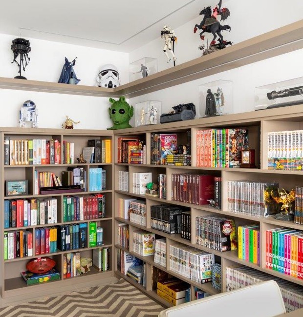 como organizar coleções na estante