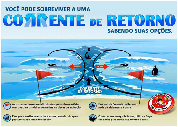 5 Dicas para Escolher a Prancha de Surf Ideal