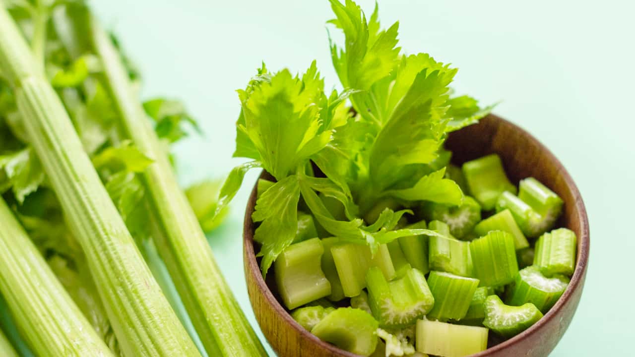 Plantio de Aipo em Vaso vs. Canteiro: Qual a Melhor Opção?