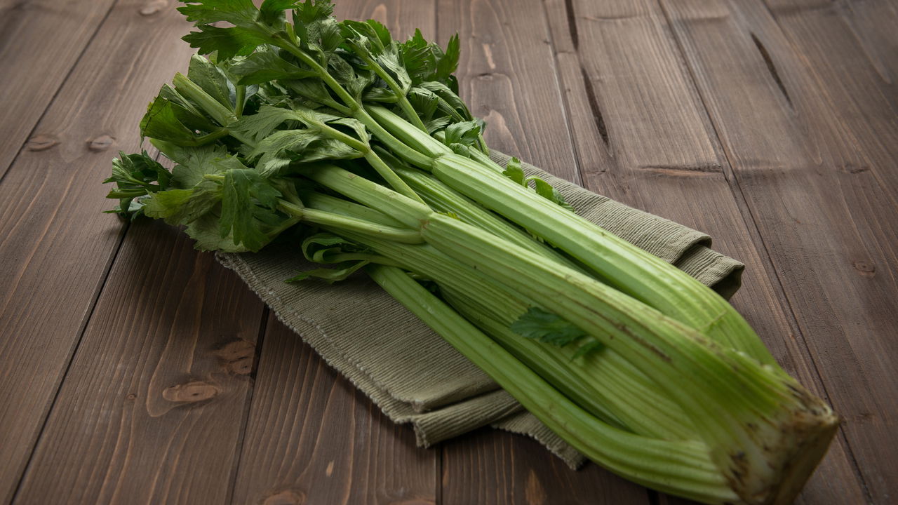 Germinação de Sementes de Salsão: Dicas para Acelerar o Processo