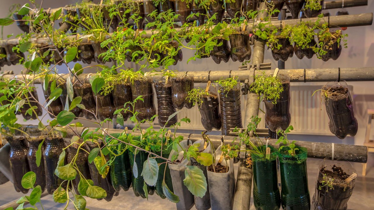 Como Escolher o Melhor Substrato para Alface em Vaso Autoirrigável