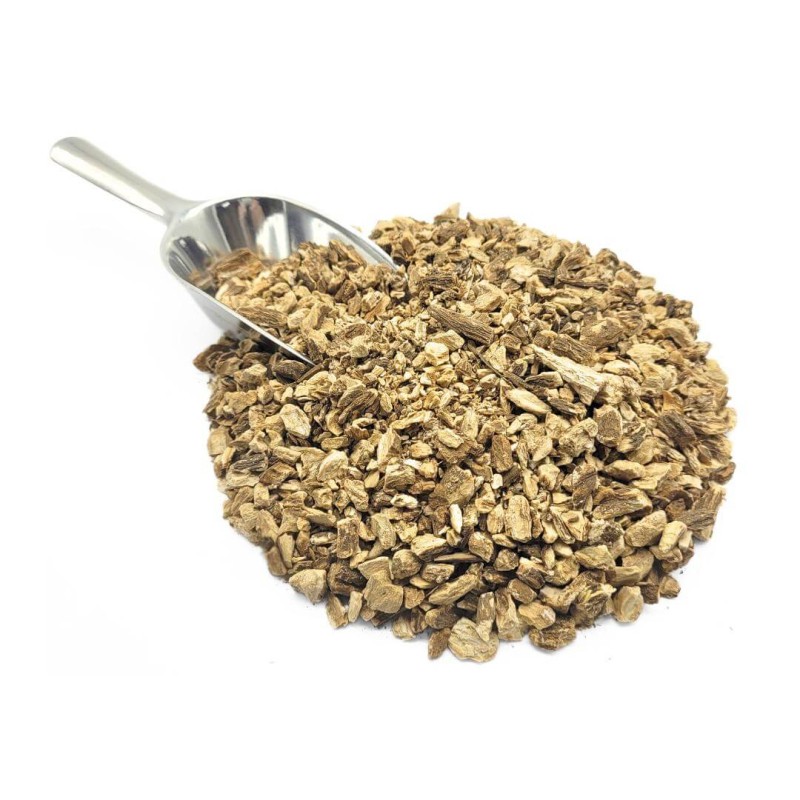 Problemas Comuns no Cultivo de Bardana e Como Resolvê-los