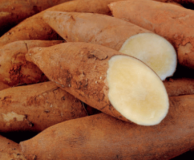 Os Benefícios Surpreendentes da Batata Yacon para a Saúde