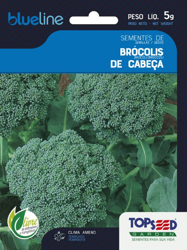 Como Identificar o Ponto Ideal de Colheita do Brócolis Gigante