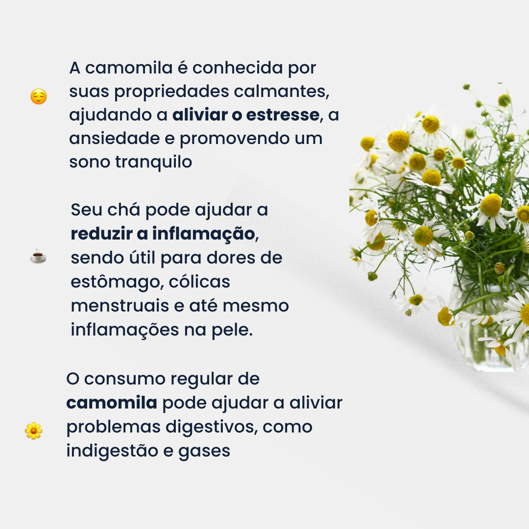 Como Montar sua Horta Orgânica em Apartamento