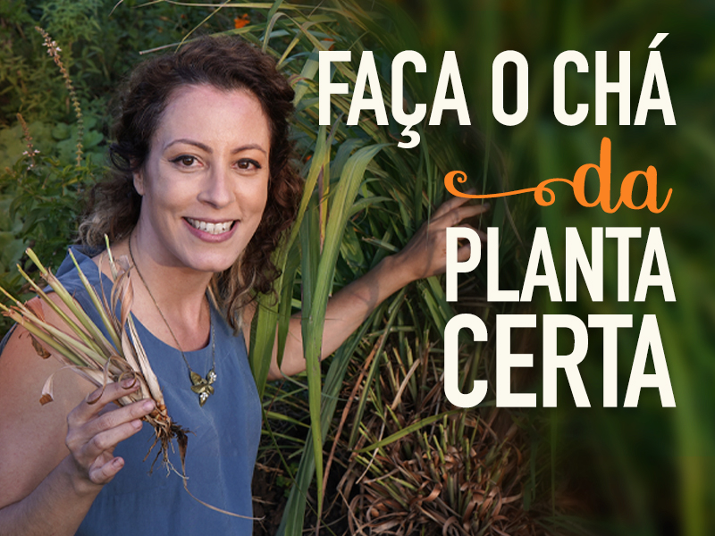 Como fazer chá de capim santo