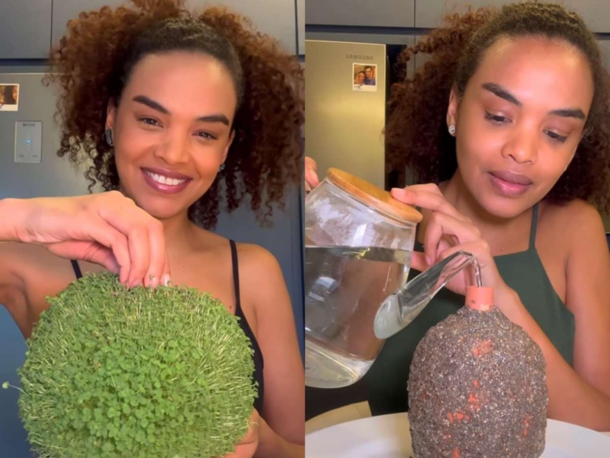 como plantar chia em casa