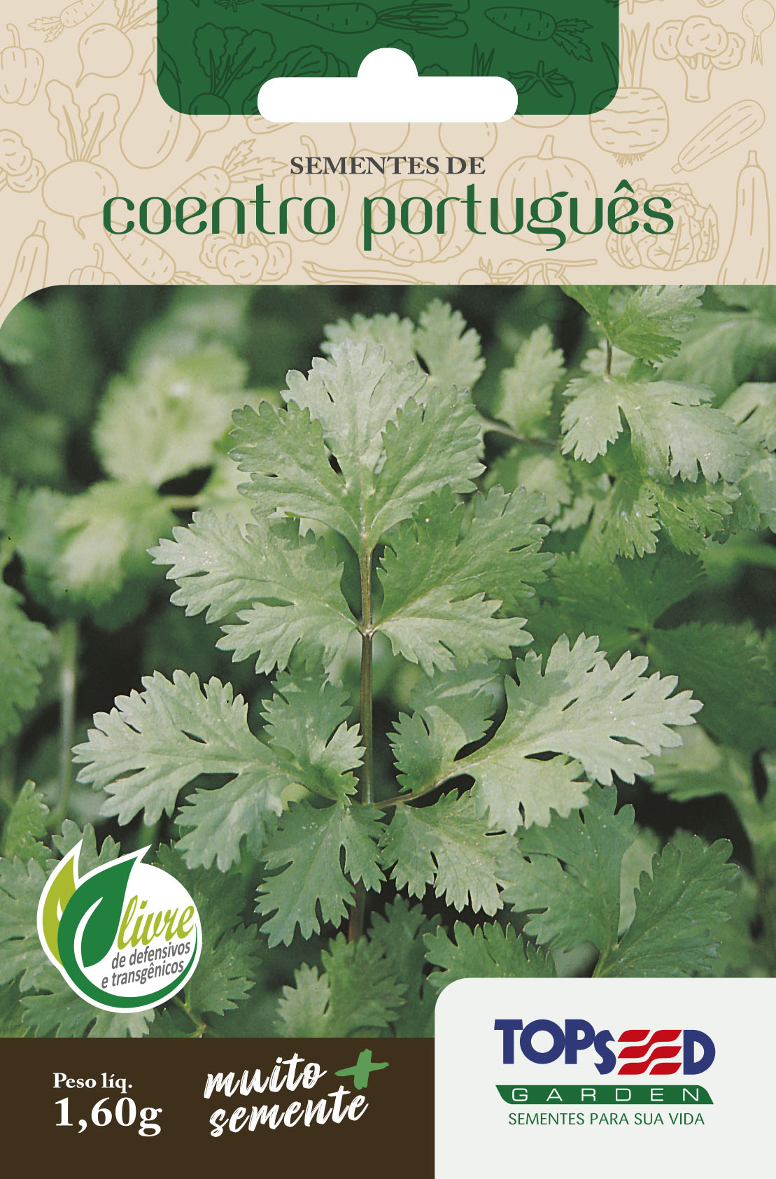 Luz e Rega: O Tripé para um Coentro Saudável e Produtivo; Da Semente à Mesa: Tudo Sobre o Cultivo de Coentro