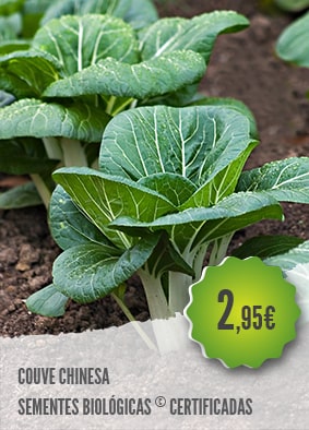 Couve Chinesa em Vasos: Guia Prático para Pequenos Espaços