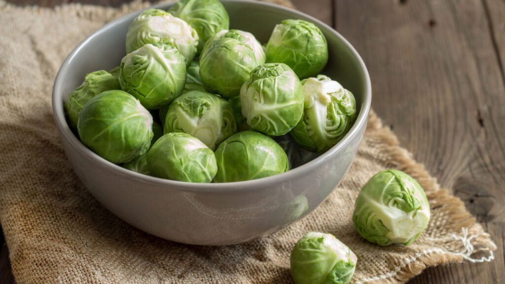 como plantar couve de bruxelas