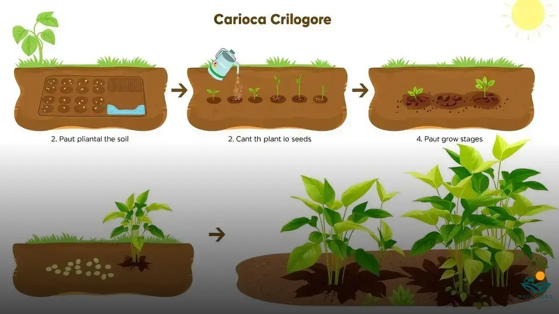 Os Melhores Adubos Orgânicos para o Cultivo de Feijão em Casa
