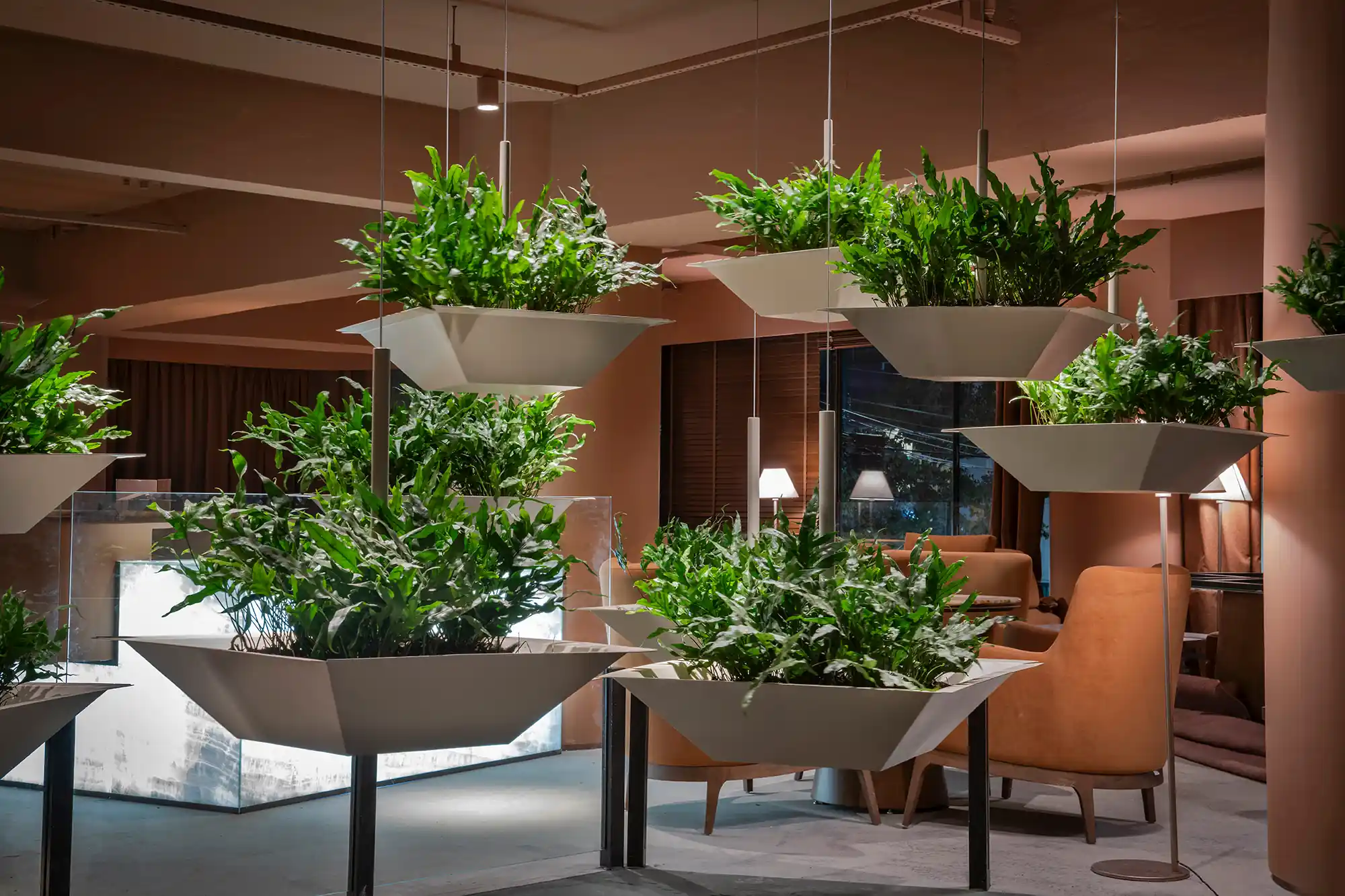 Diferenças entre Manjericão Comum e Manjericão Sagrado