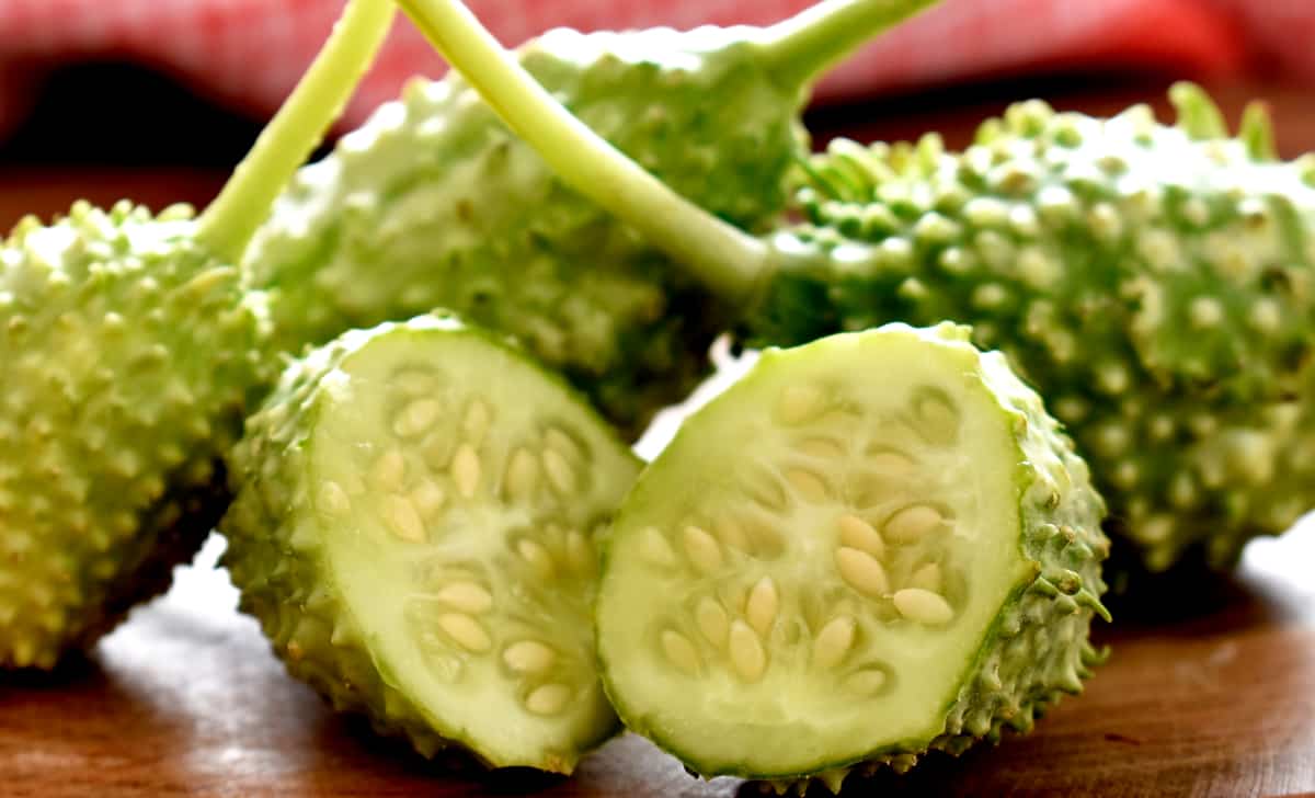 5 segredos para um maxixe super produtivo