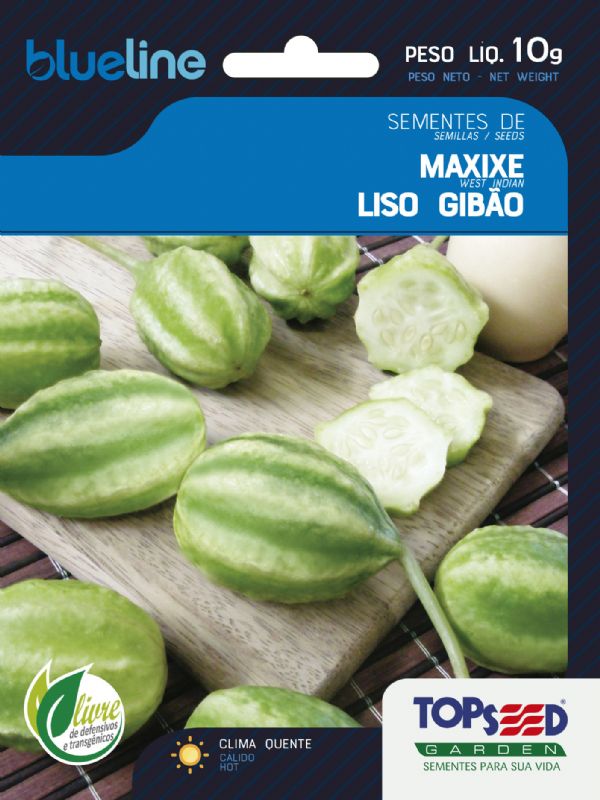 como plantar maxixe e colher muito