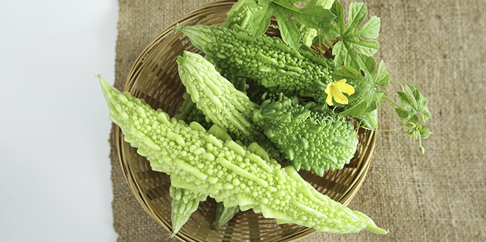 Como combater pragas no cultivo de Melão de São Caetano