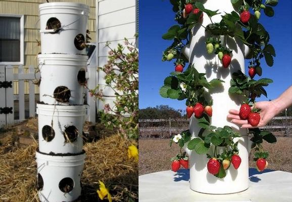 Como fazer irrigação por gotejamento em horta vertical de PVC