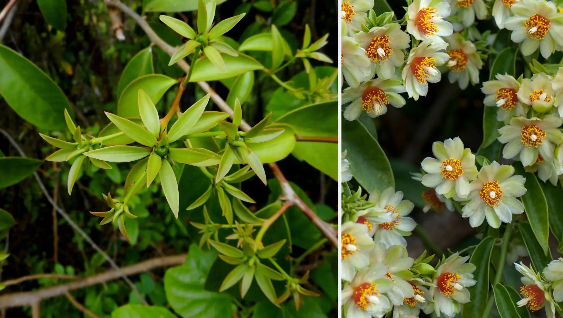 5 ideias de títulos