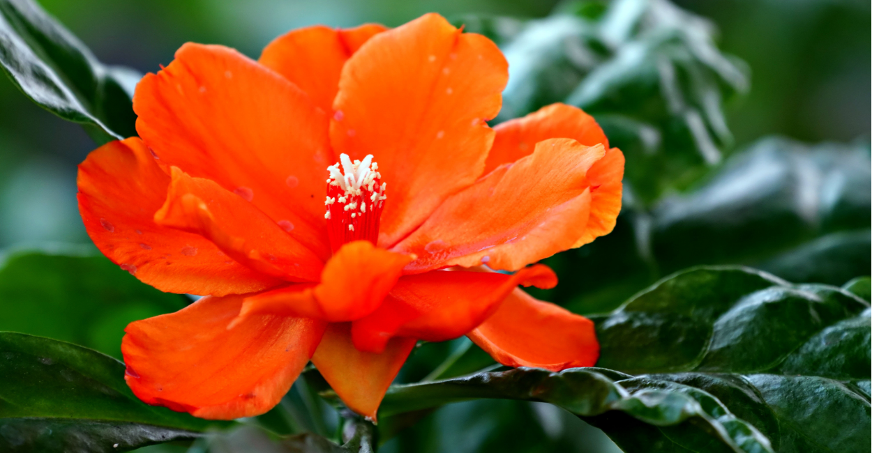 5 ideias de títulos