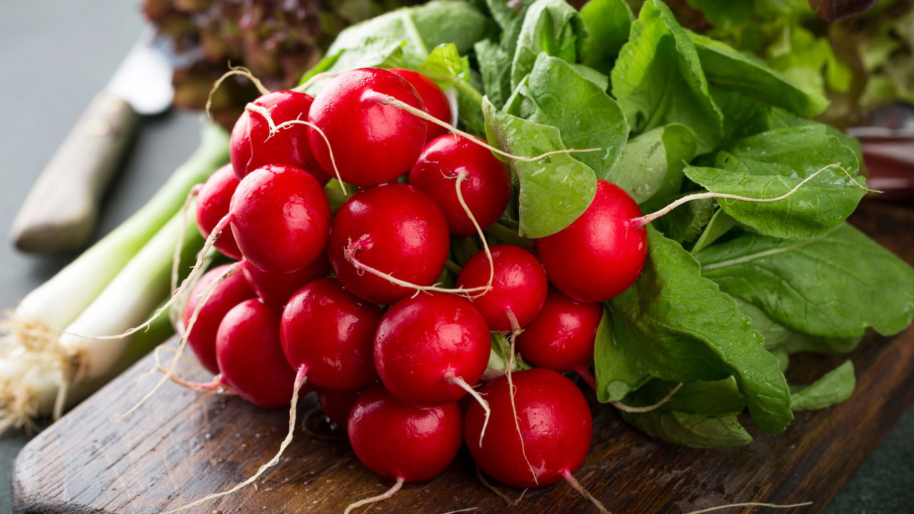 Rabanete em Vaso vs. Canteiro: Qual a Melhor Opção?