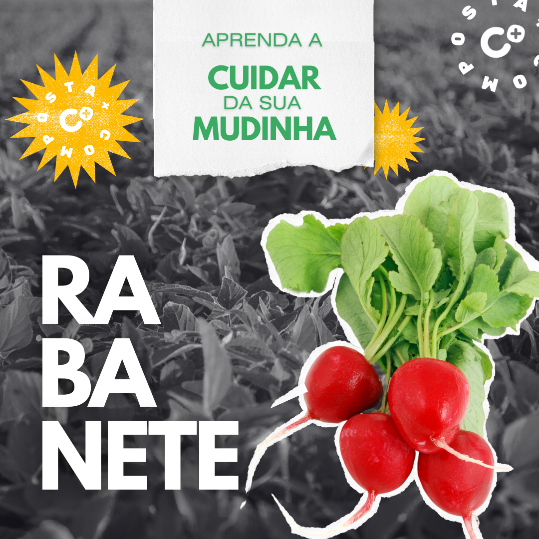 Como Evitar que o Rabanete Rachie