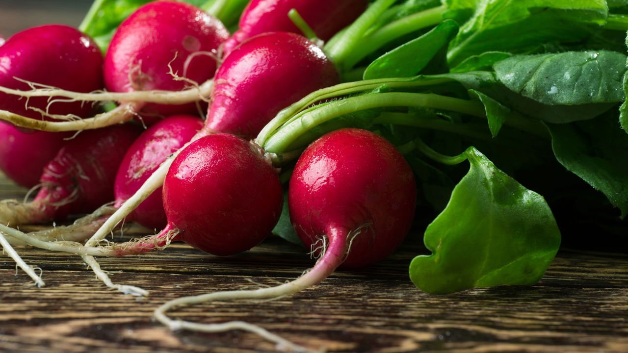 Guia Completo de Adubação para Hortaliças