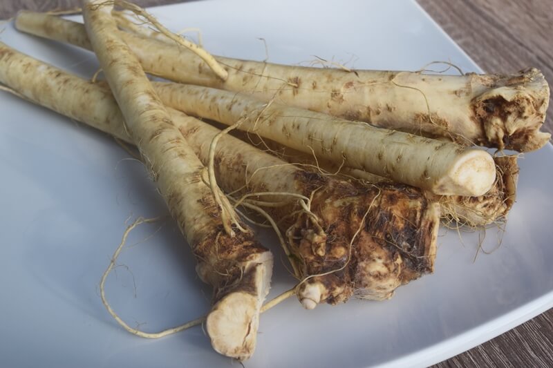 Os Benefícios da Raiz-Forte para a Saúde e Como Usá-la na Culinária